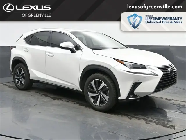2019 Lexus NX 300's photo