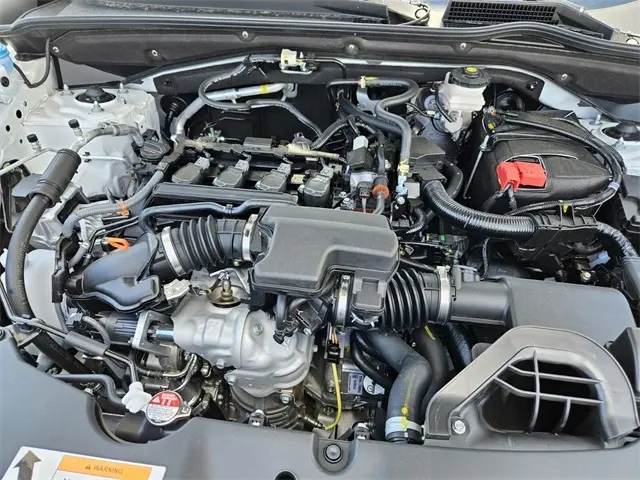 image-14