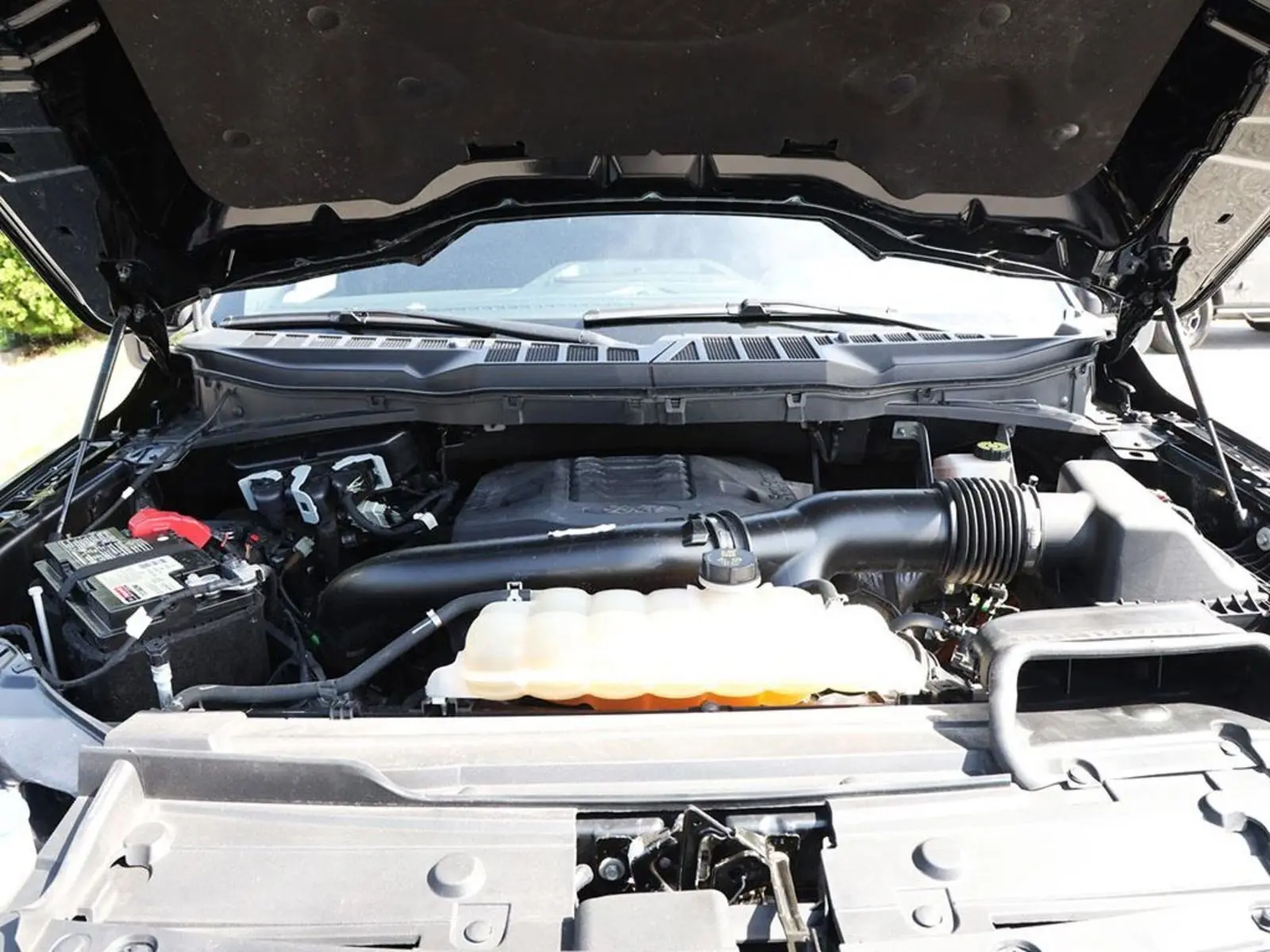 image-7