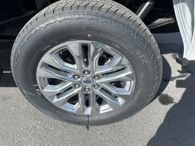 image-7