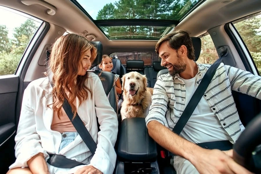 Family riding together with their dog inside a Kia vehicle, representing the peace of mind offered by Kia Vehicle Protection coverage