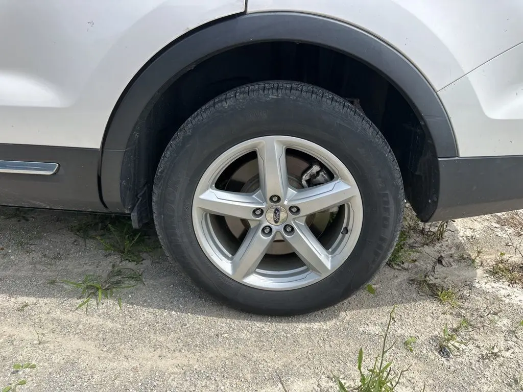 image-11