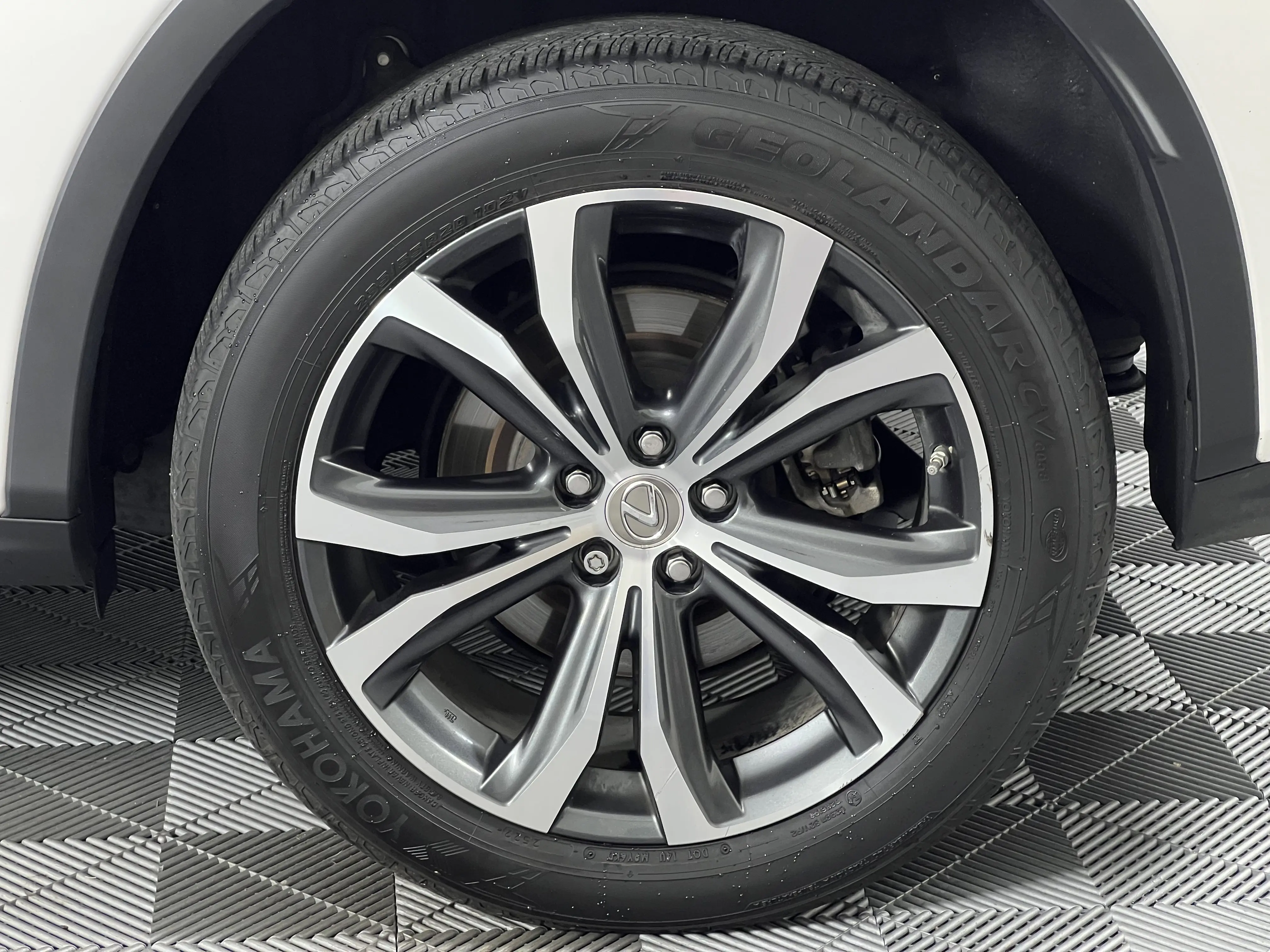 image-11