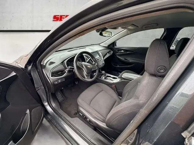 image-19