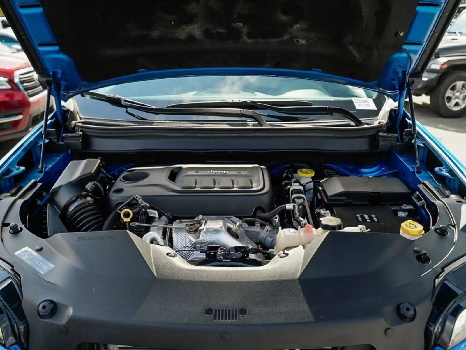 image-7