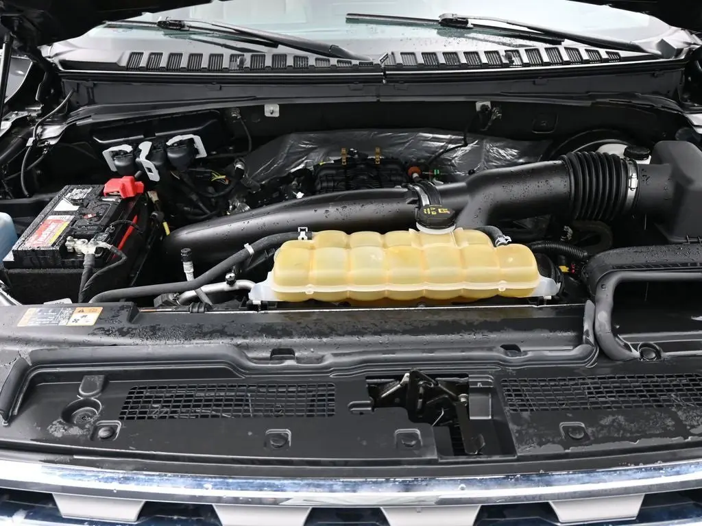 image-19