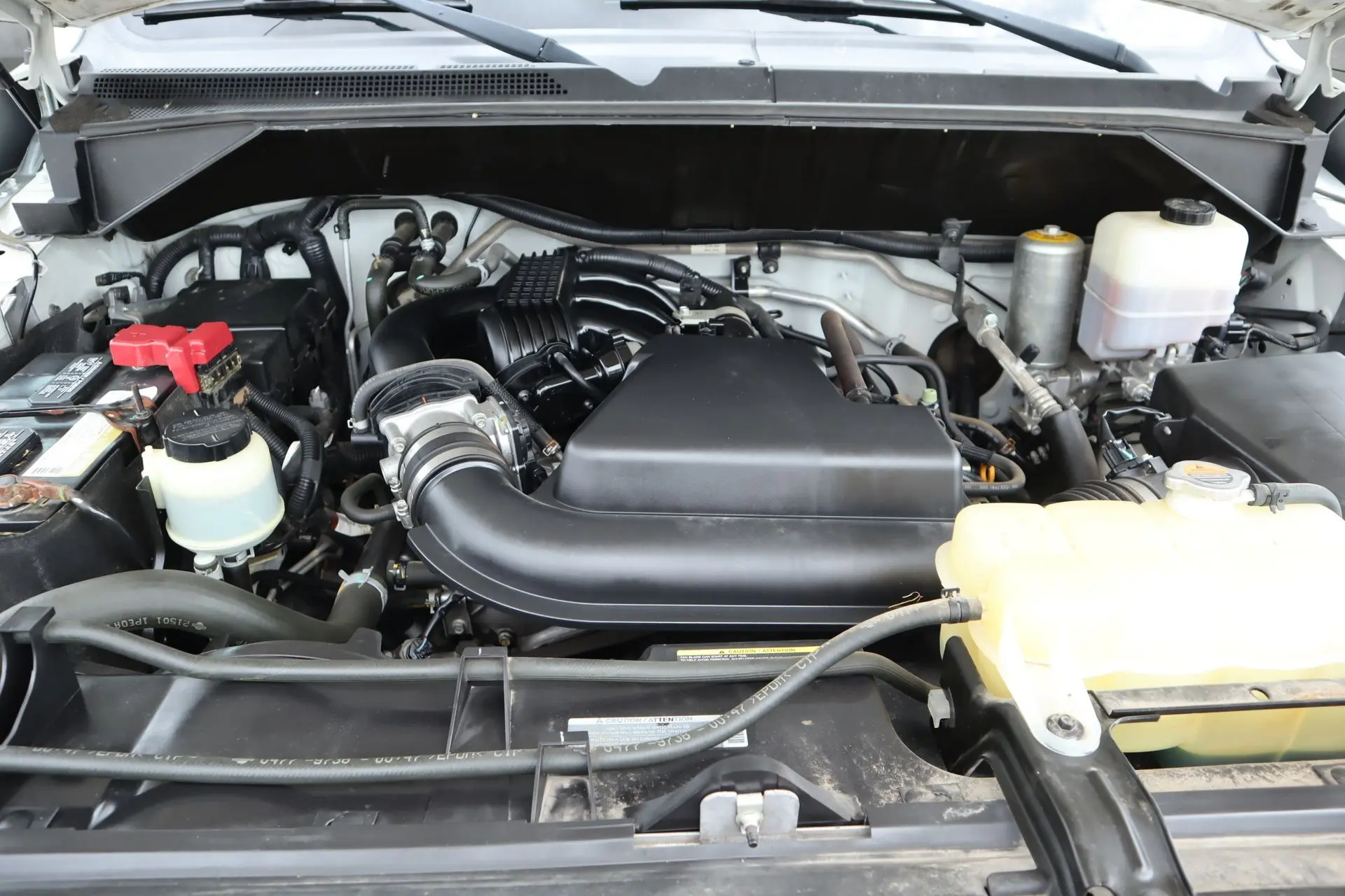 image-15
