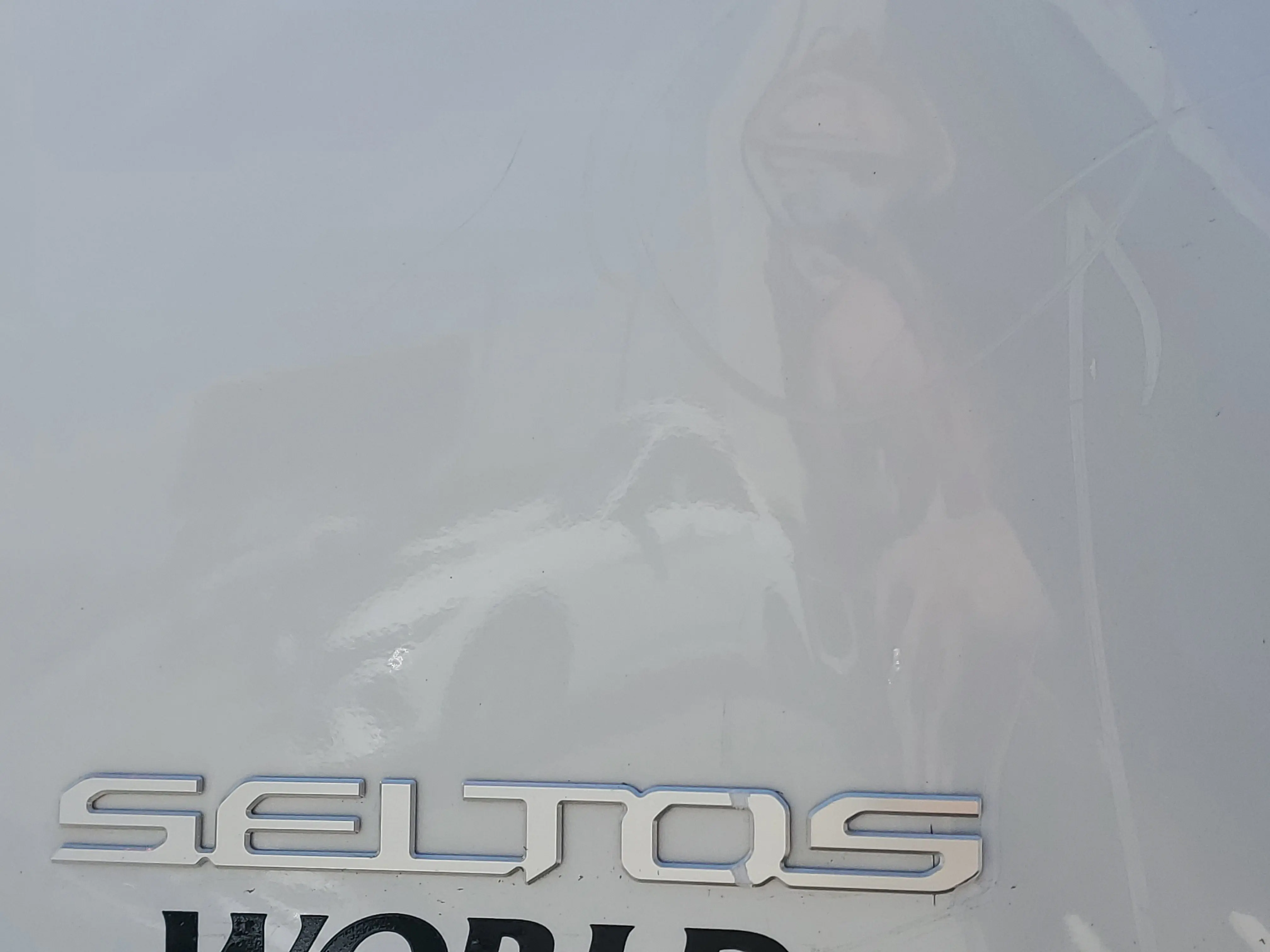 image-7
