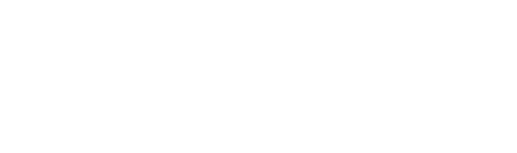 Dealer Logo Primary