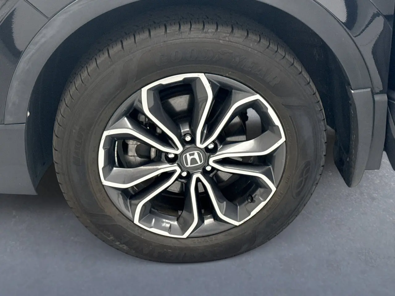 image-19