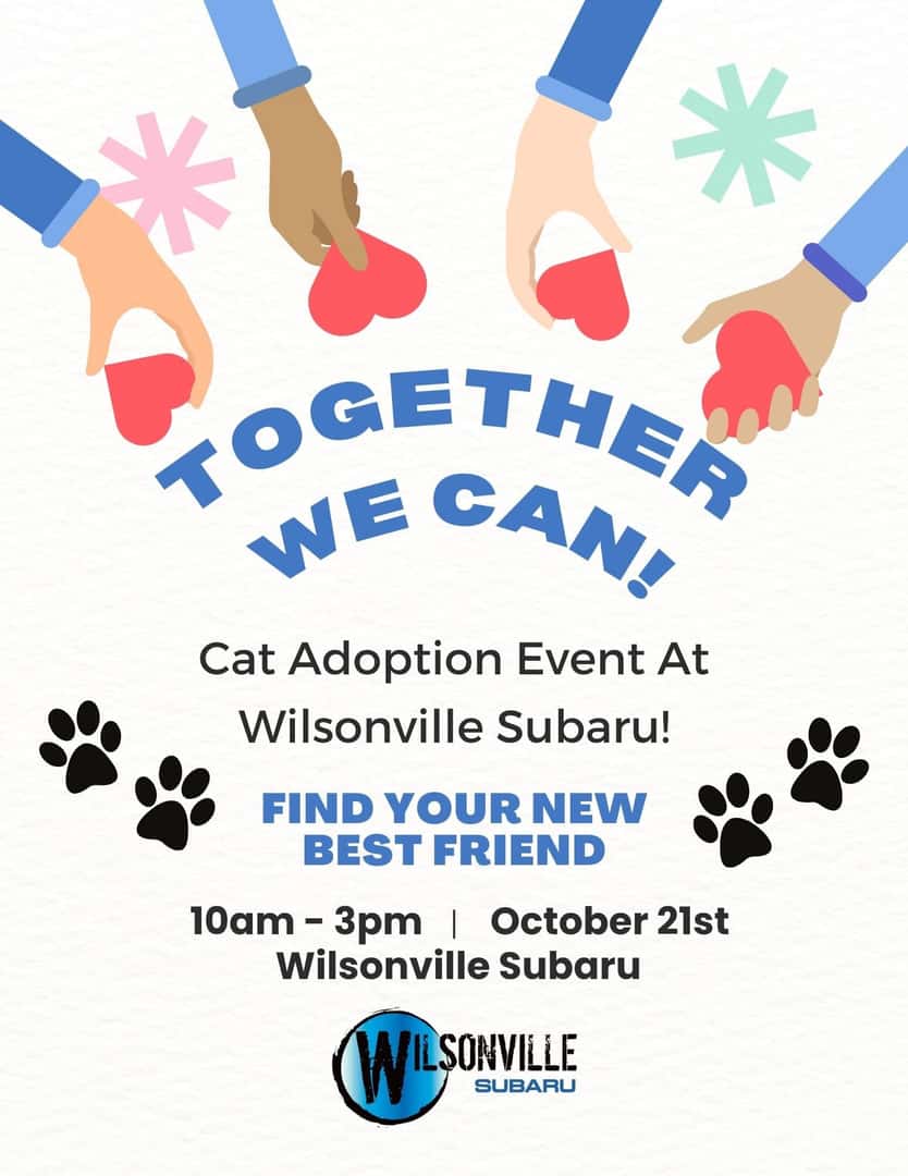 Cat adoption event flyer for Wilsonville Subaru, October 21, 10am to 3pm