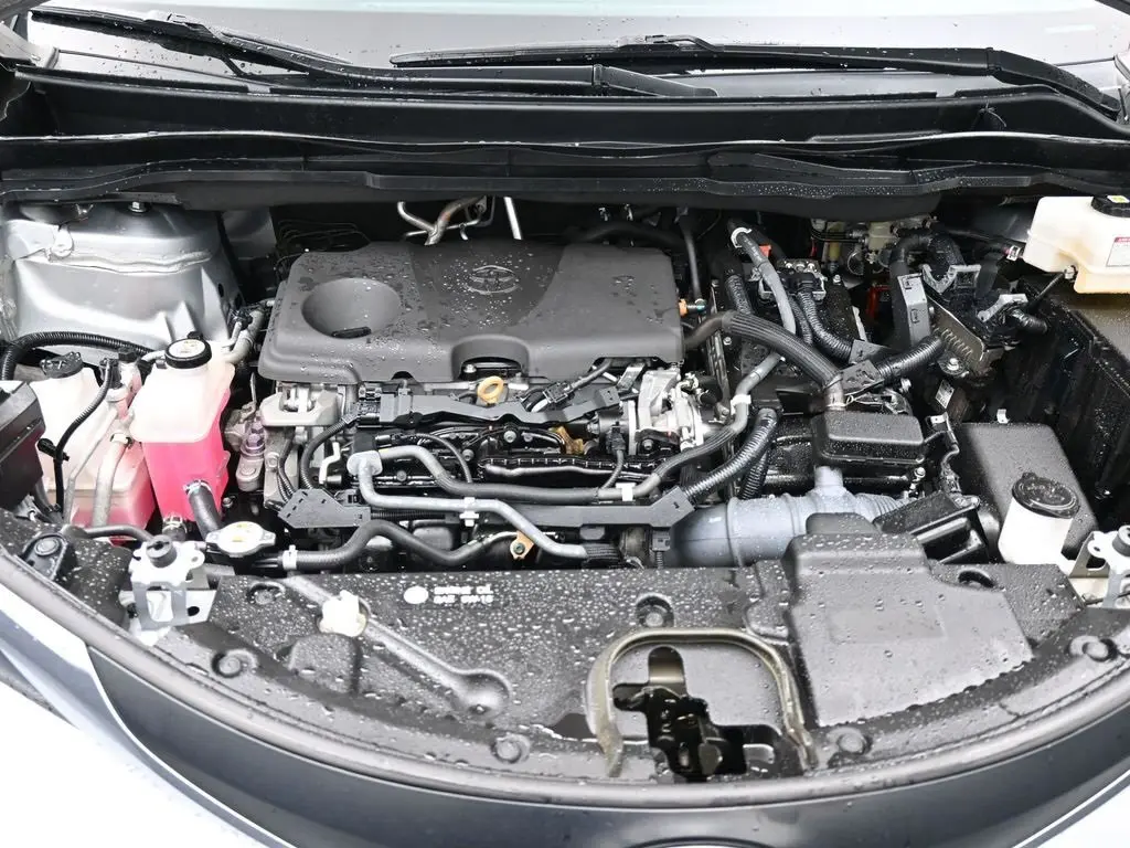 image-19