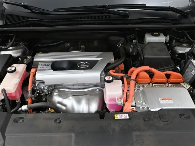 image-16