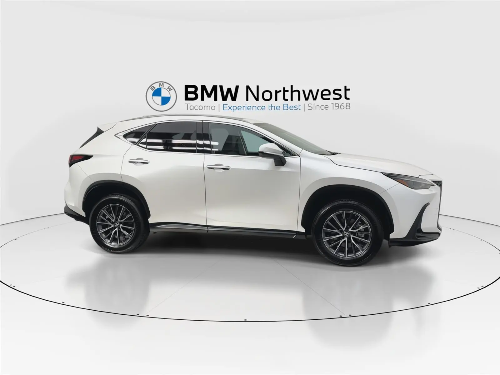 2022 Lexus NX 350 photo 4