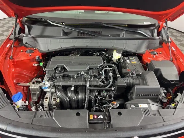 image-2