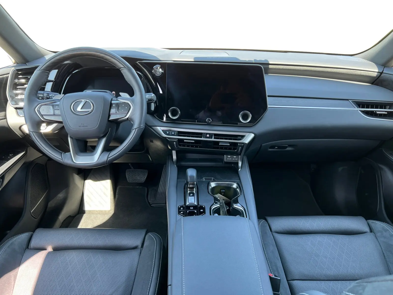 2024 Lexus RX 350h Luxury photo 10