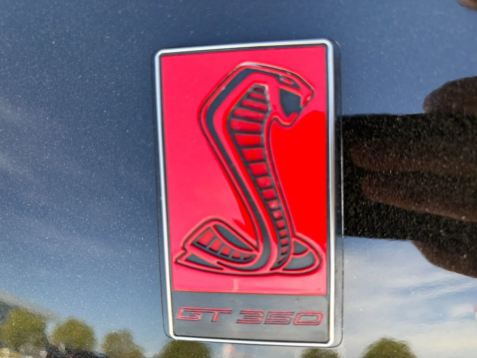 image-16