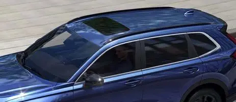 Roof Rails