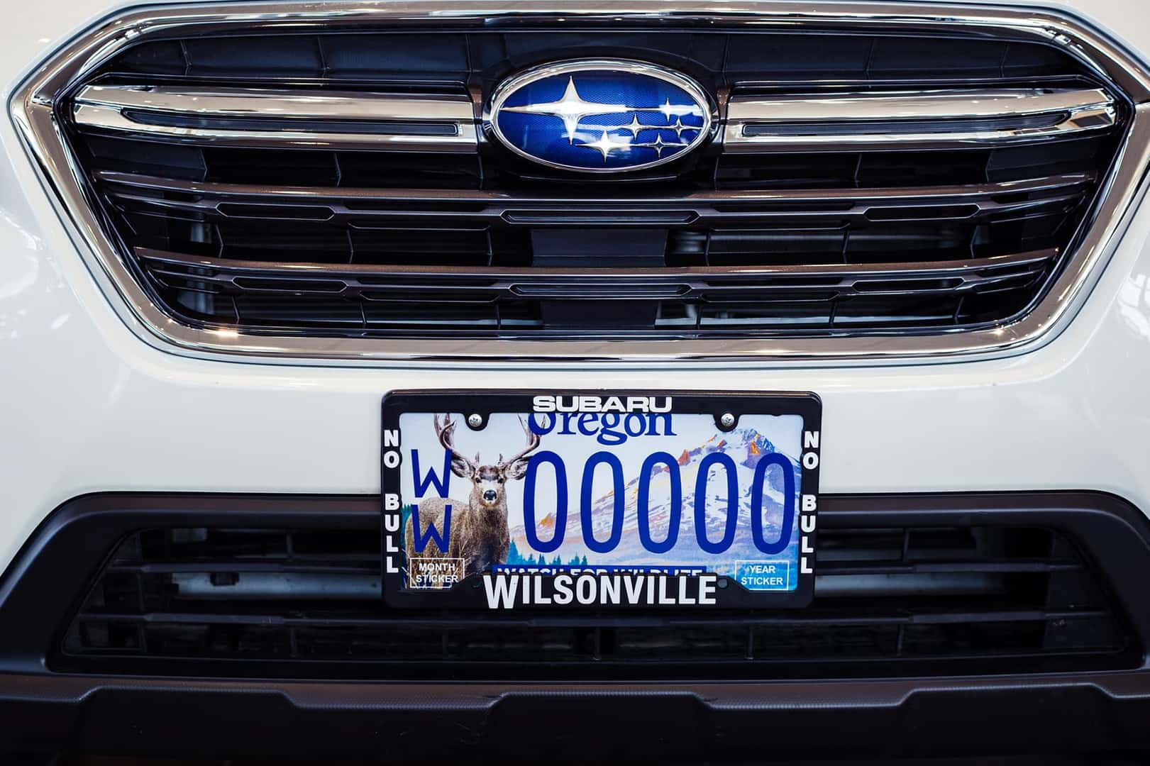 Front of a white Subaru with a Wilsonville wildlife license plate