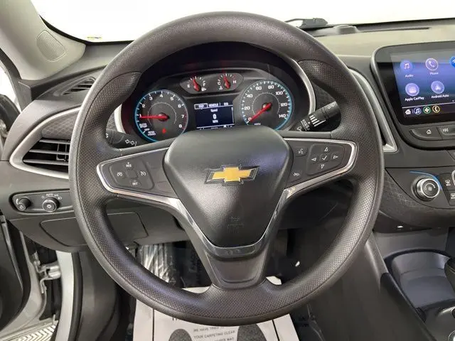 image-19