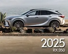 2025 TX 350