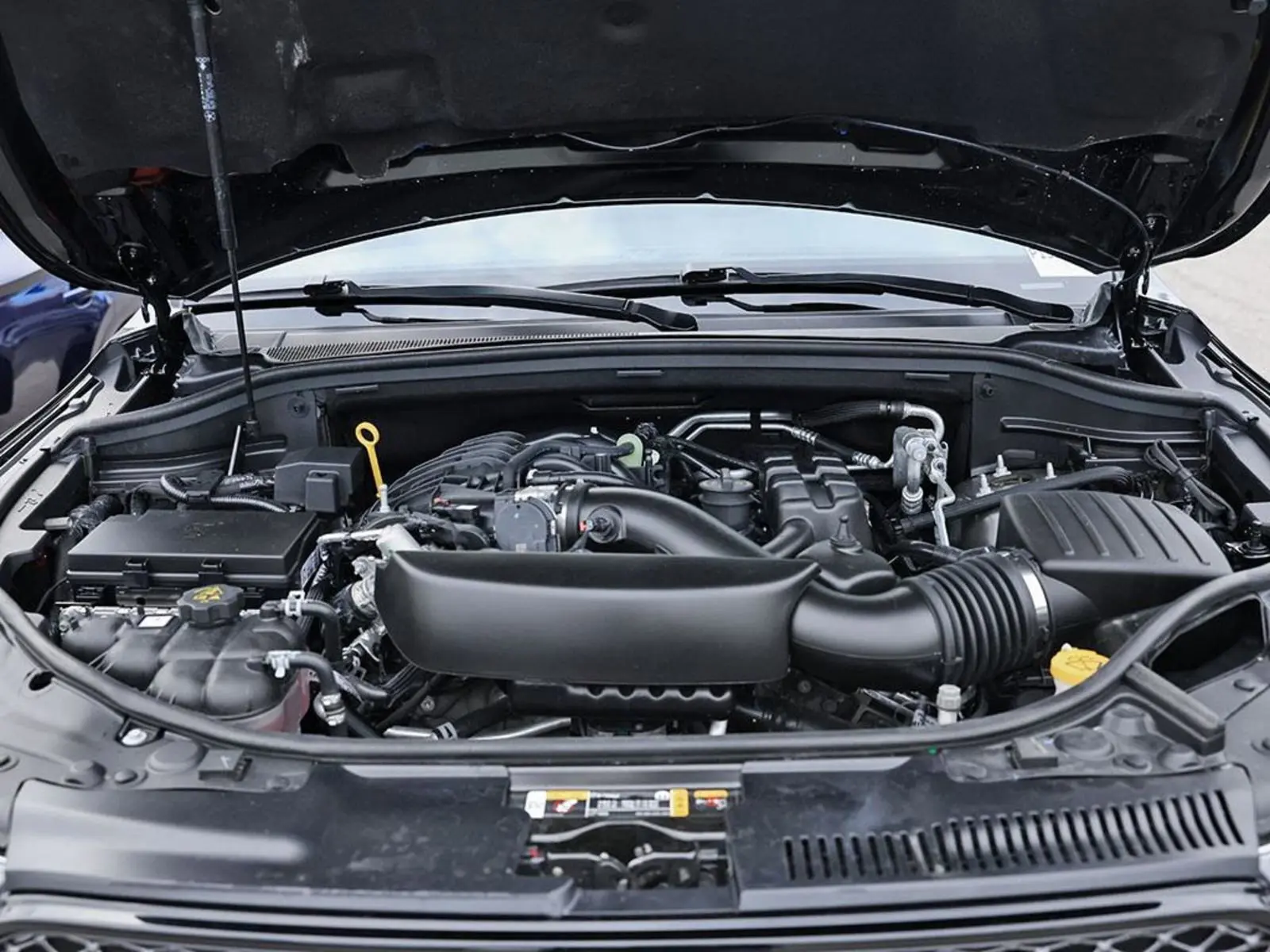 image-7