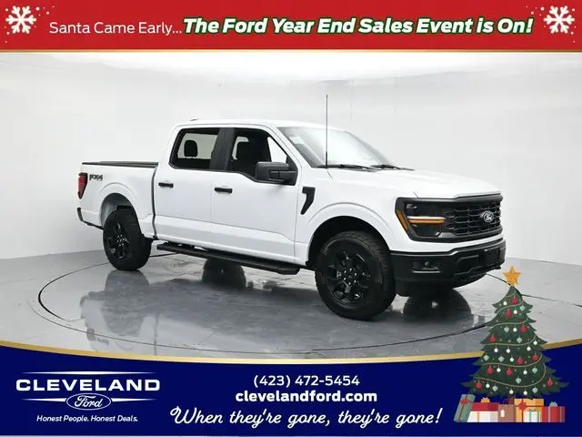 2025 Ford F-150 STX's photo