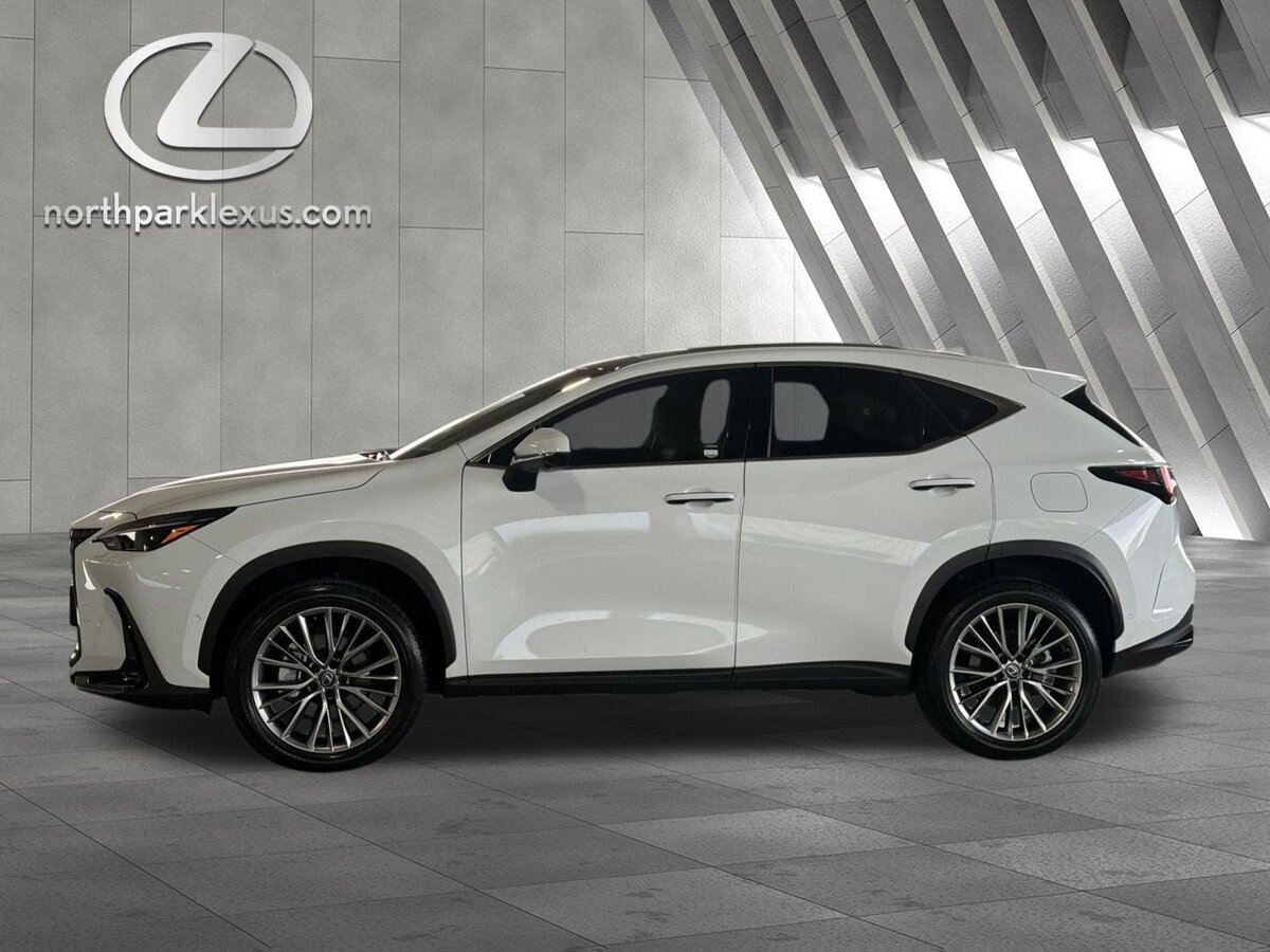 2026 Lexus NX Luxury