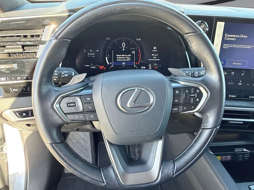 2025 Lexus RX 350 - Photo 21