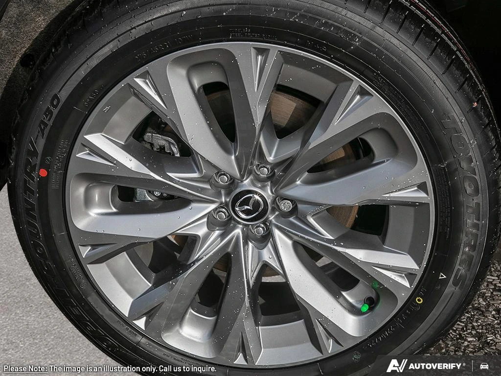 image-7
