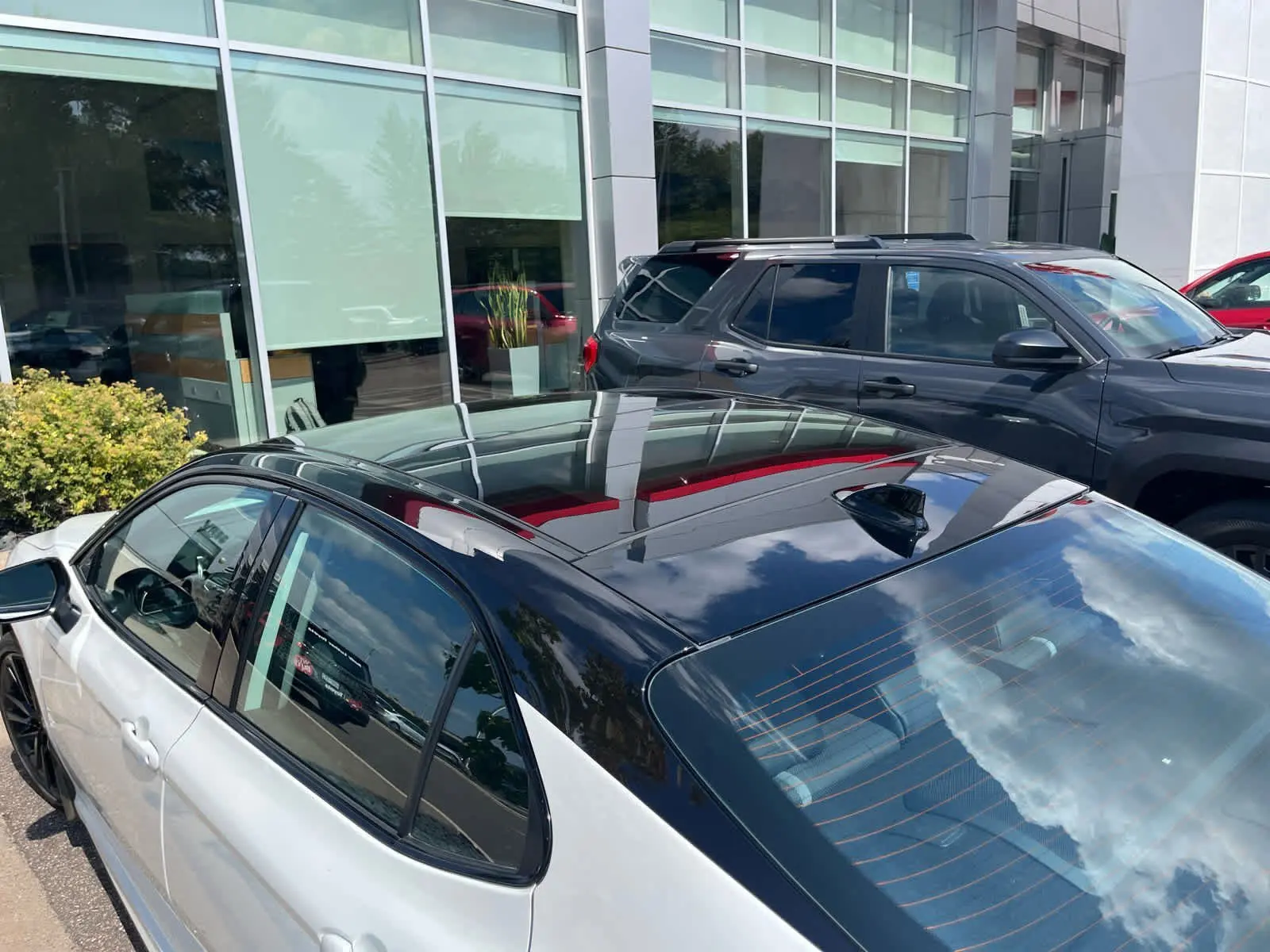 image-7