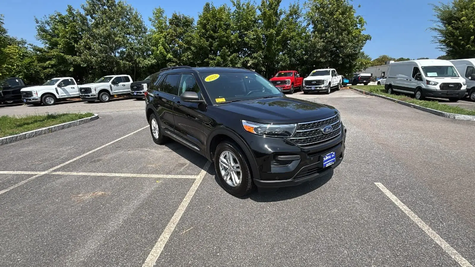 image-7