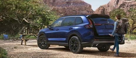 Hands-Free Access Power Tailgate