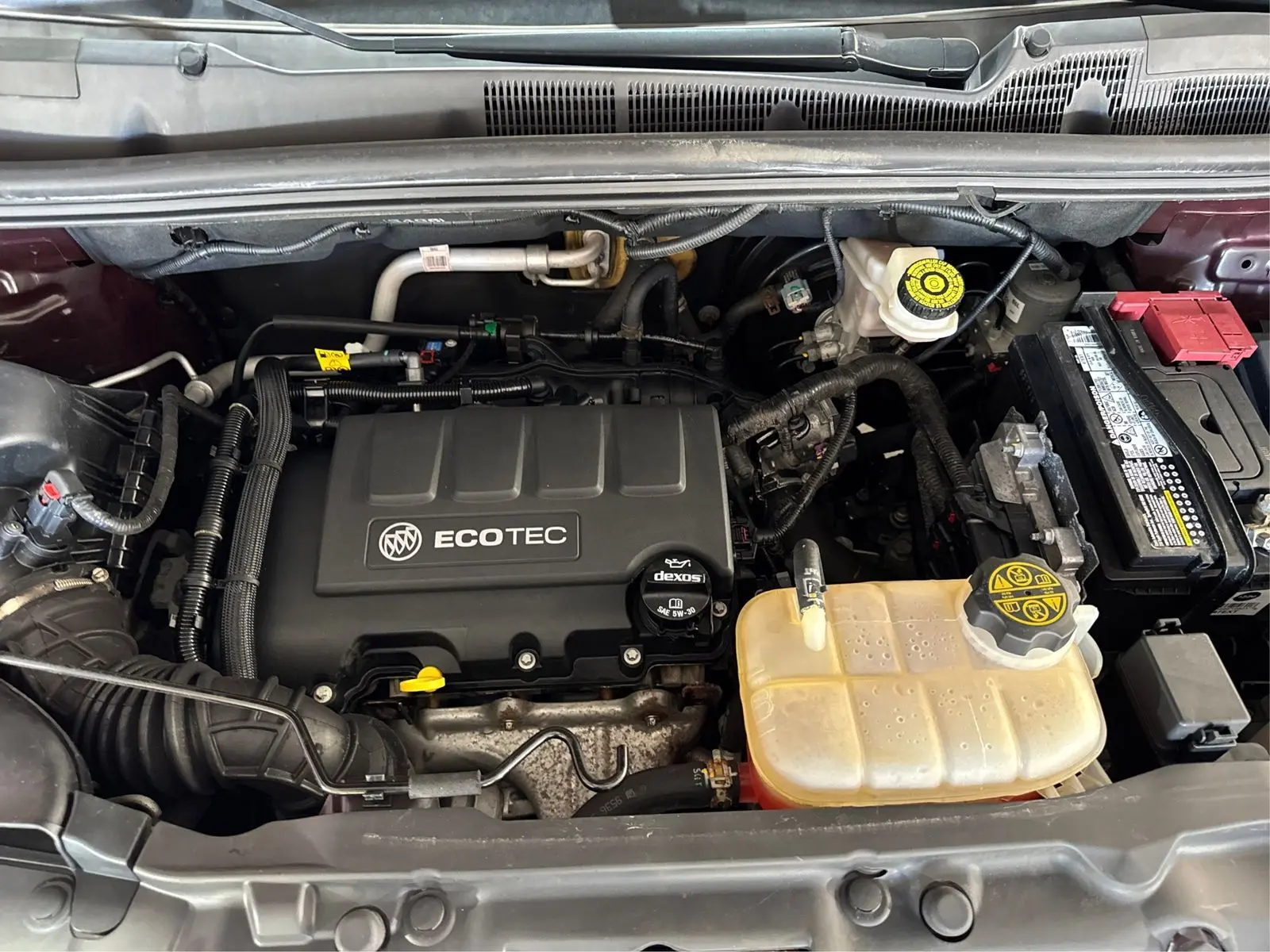 image-19