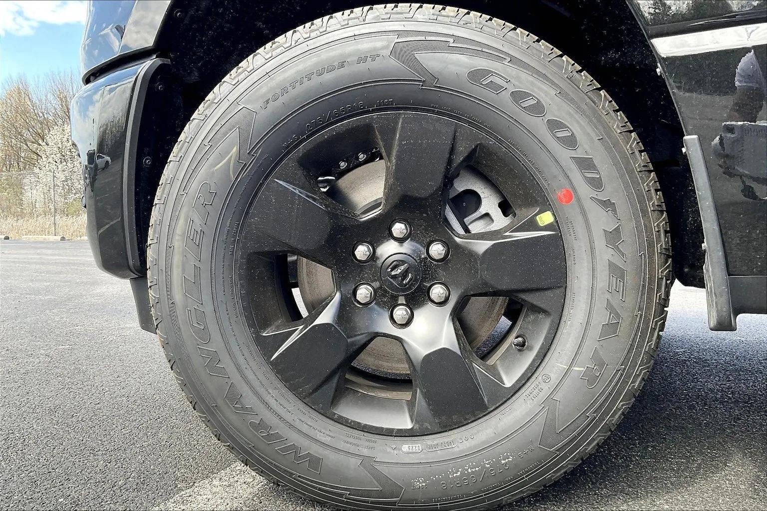 image-11