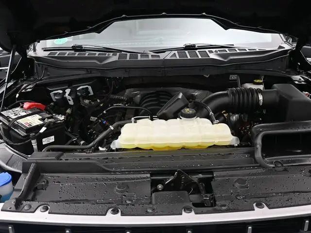 image-19