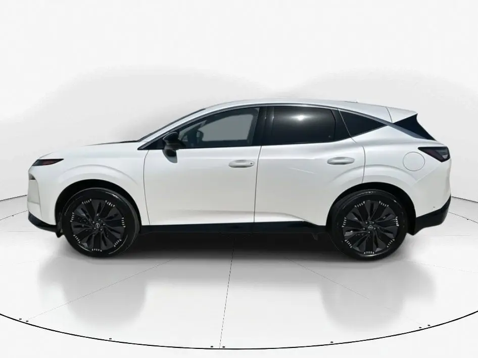 image-7