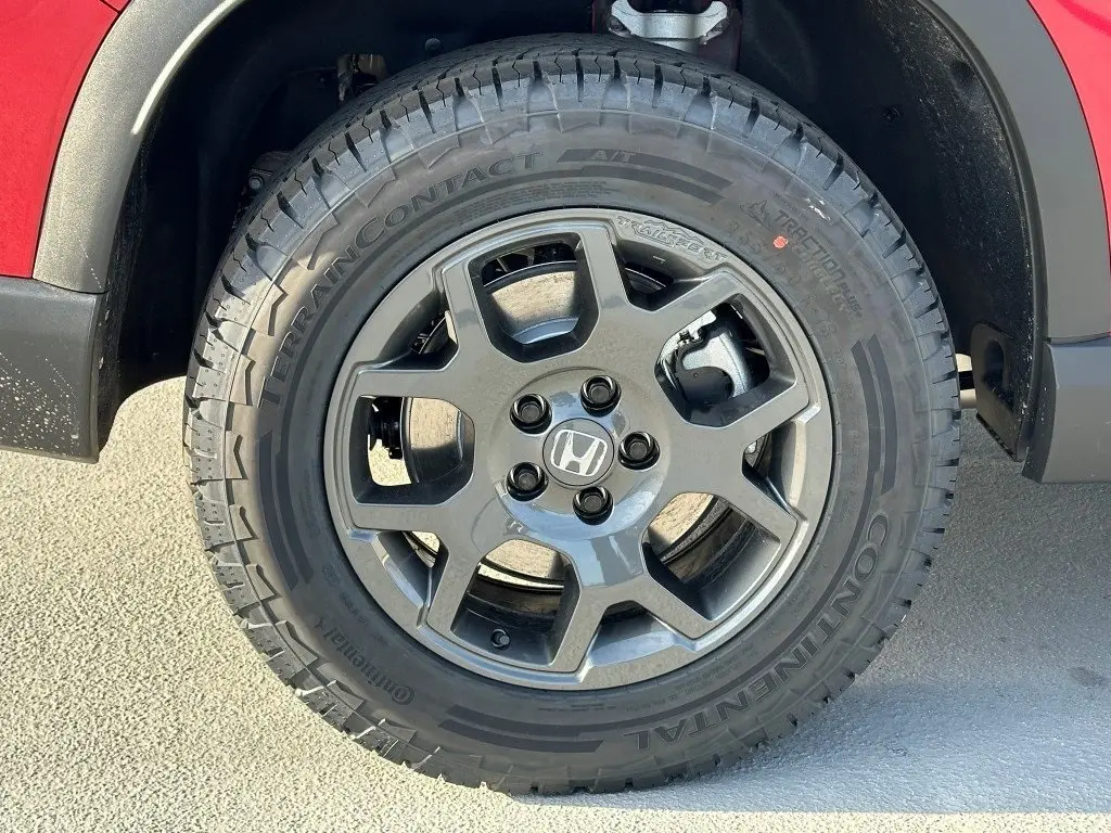 image-8