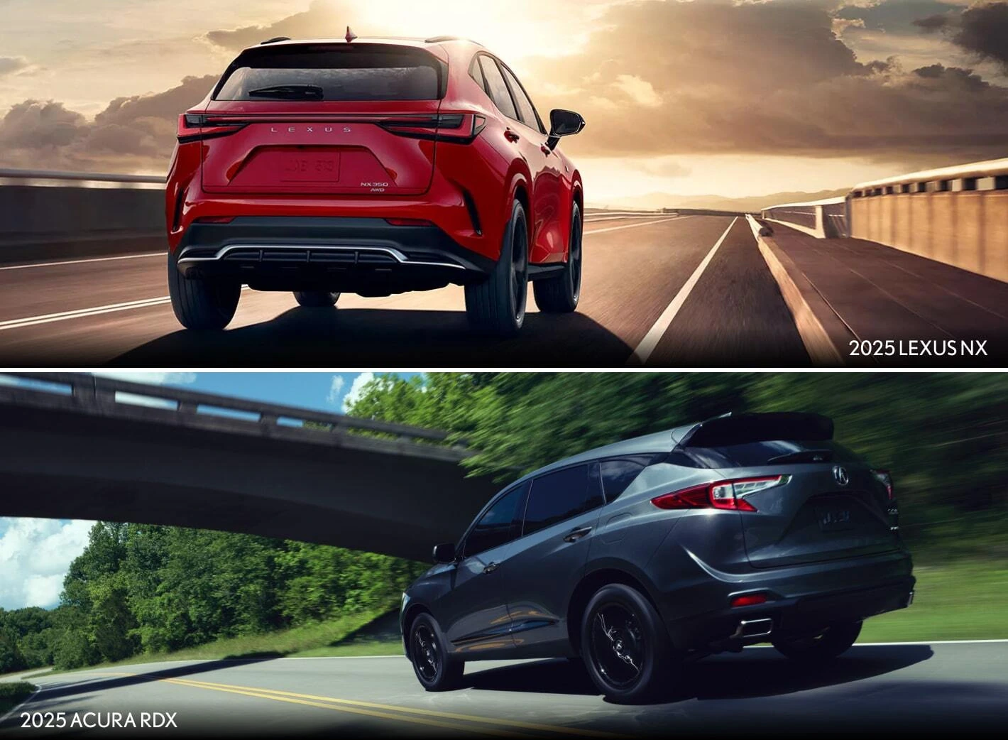 Acura RDX vs. Lexus NX Safety and Reliability