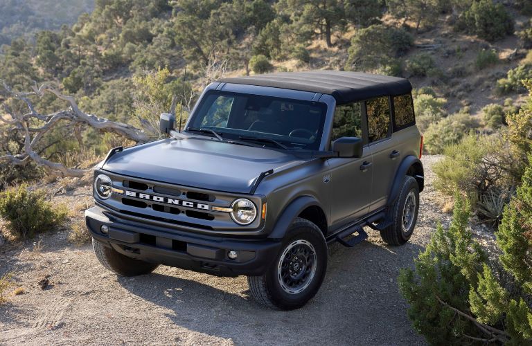 Gray 2025 Ford Bronco with Matte Clear Film on Trail