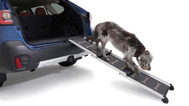 Dog using ramp to exit the vehicle