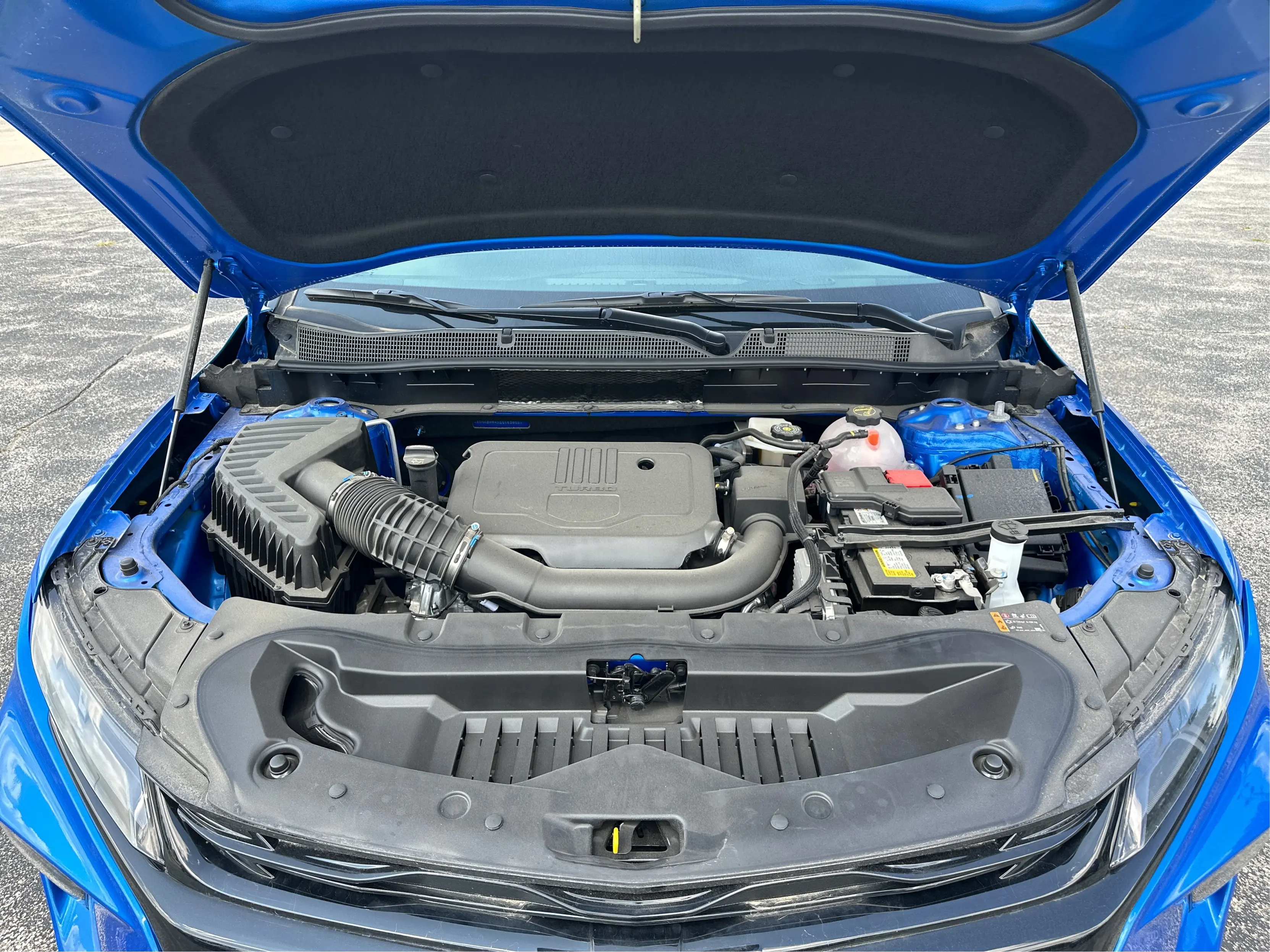 image-10