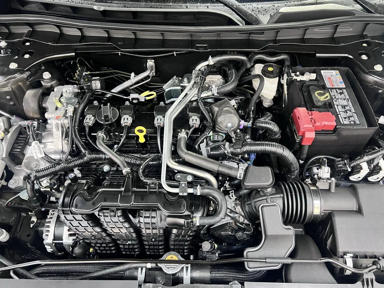 image-7