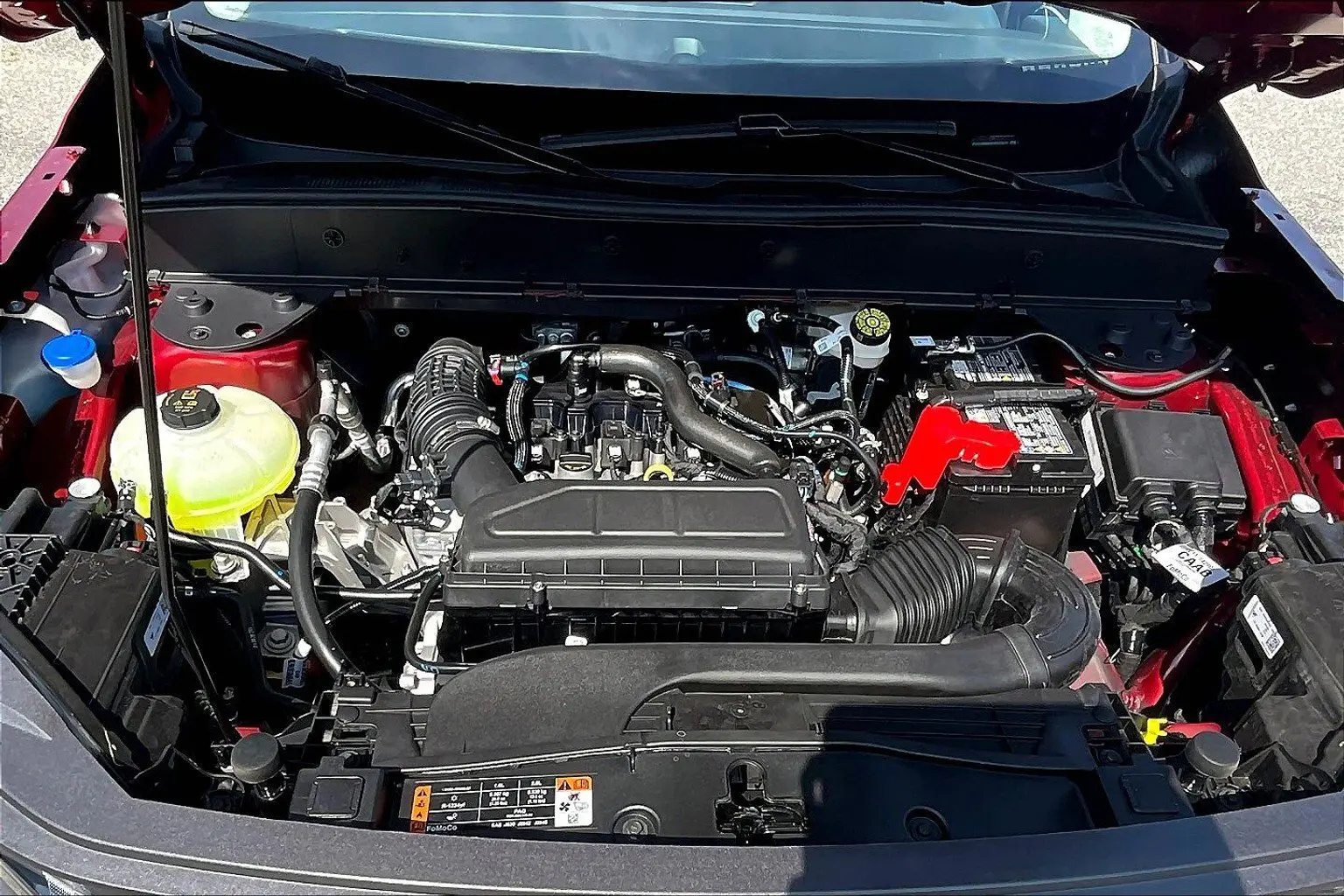 image-9