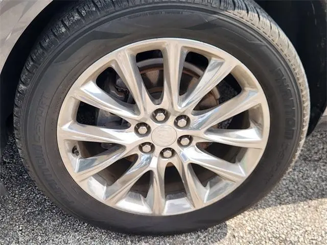 image-19