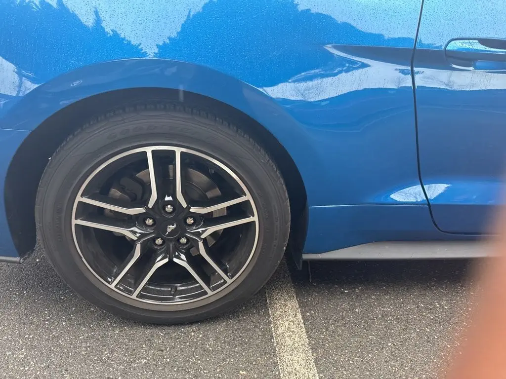 2021 Ford Mustang EcoBoost Premium photo 3