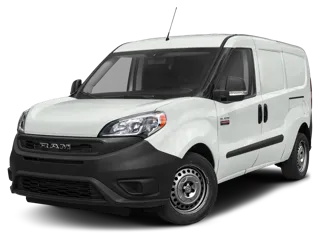 White Ram Promaster