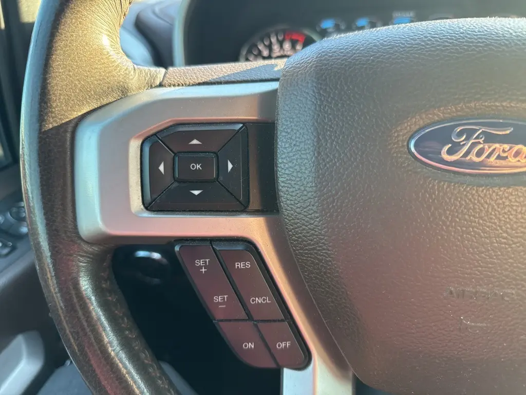 2019 Ford F-150 King Ranch photo 19