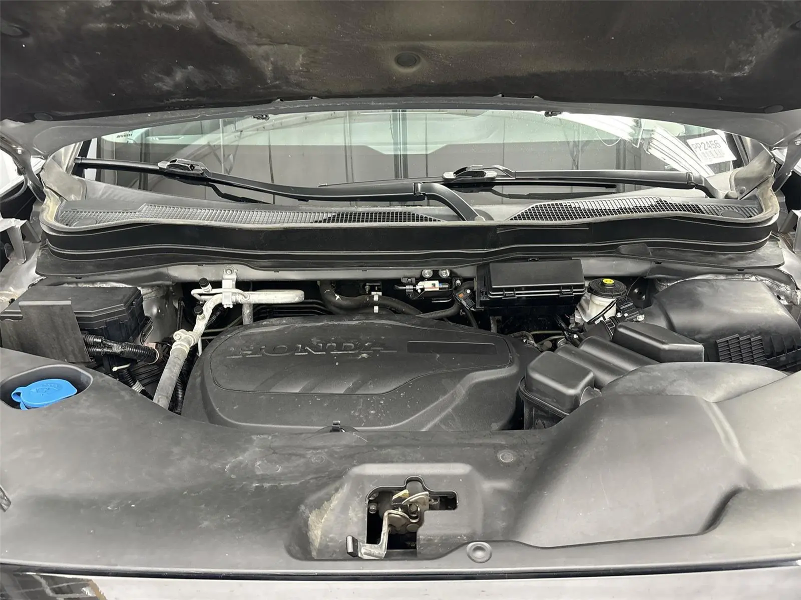 image-7