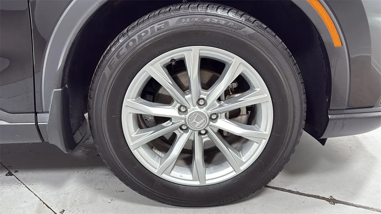 image-20